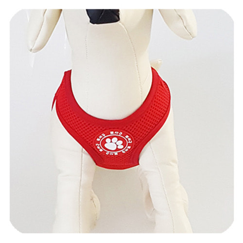 또사구 슬림메쉬하네스(5가지 색상)